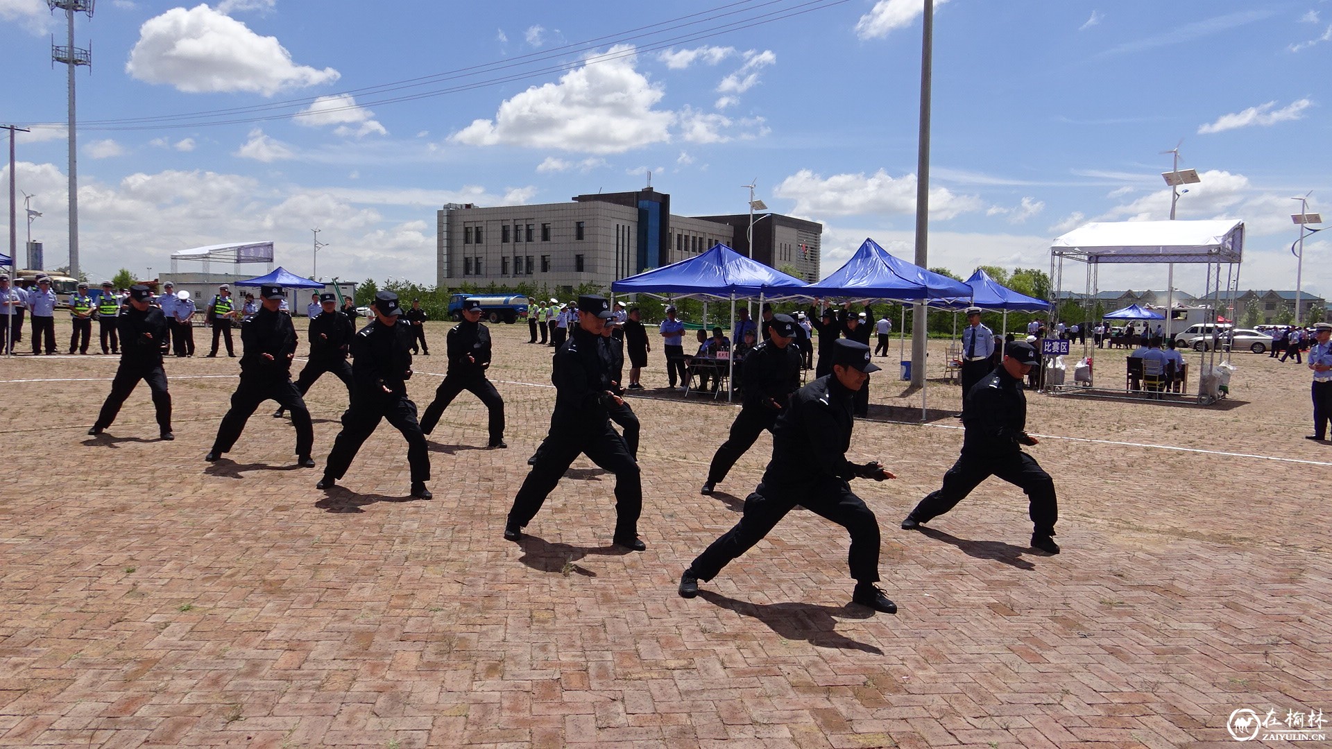 开云体育官方网站-弗赖堡连续五轮不败，士气高涨斗志昂扬，掌声雷动