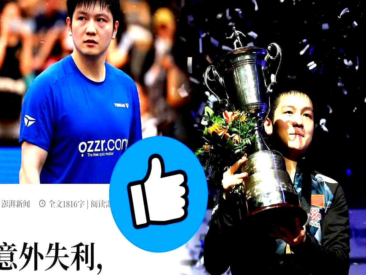 波兰队鏖战法国队,樊振东高光表现 波兰队鏖战法国队,樊振东高光表现