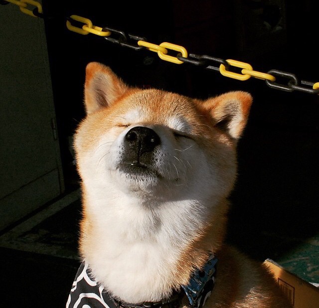 格列兹曼天神下凡！希腊铁血逆袭，日耳曼战车爆冷抛锚