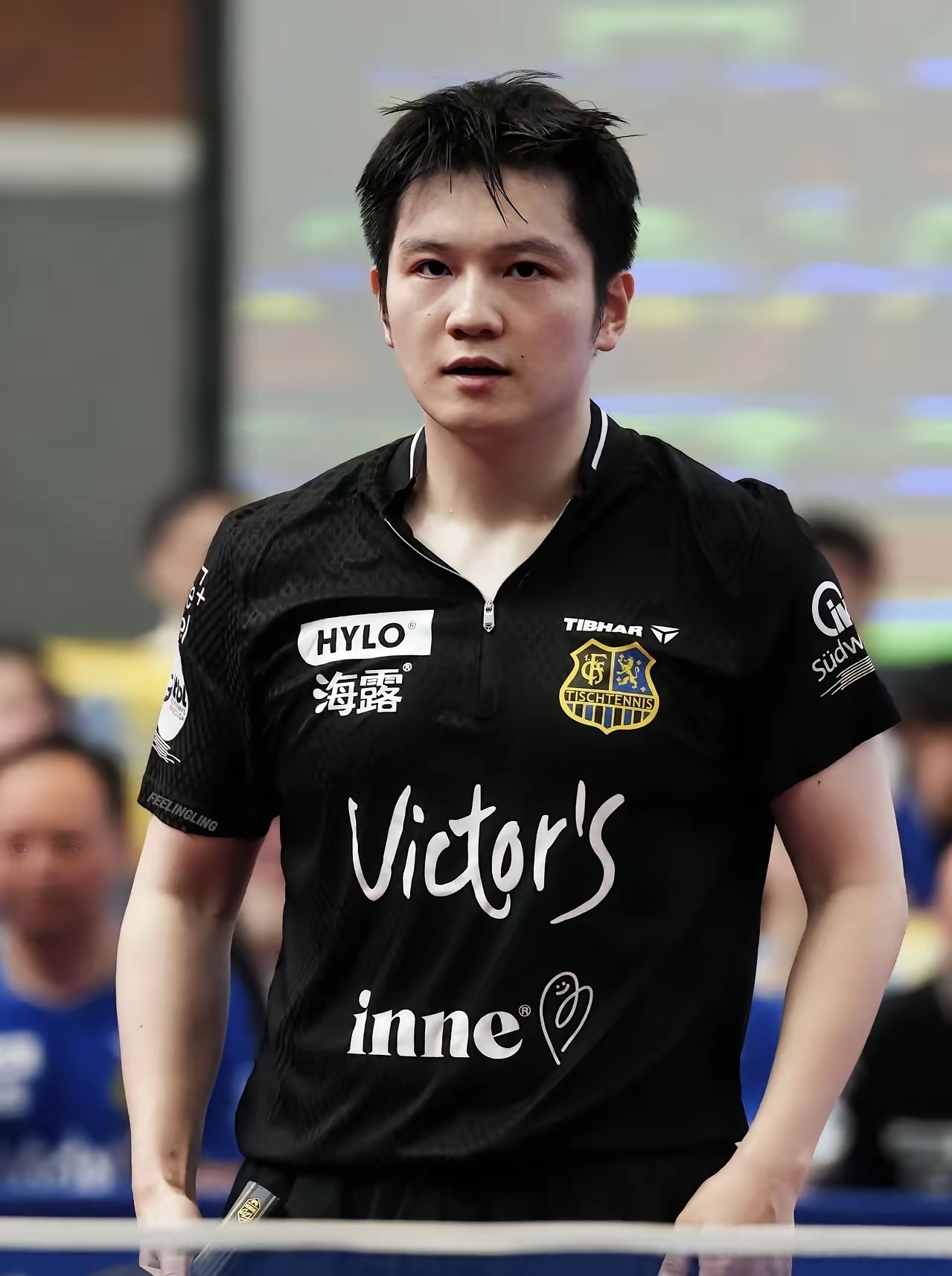 奥地利队横扫日本队，樊振东关键制胜